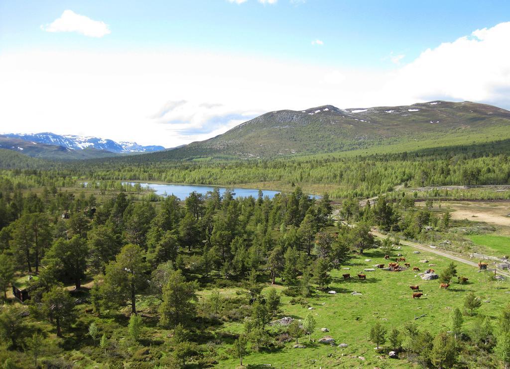 Lusaeter Timber Cabins Хейдал Экстерьер фото